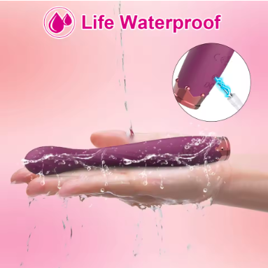 Beginner Vagina Vibrator
